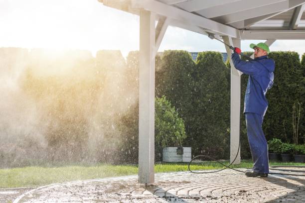 Professional Pressure Washing Services in Pittsville, MD